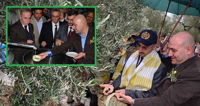 Akhisar Zeytin Hasat Şenlikleri yapıldı