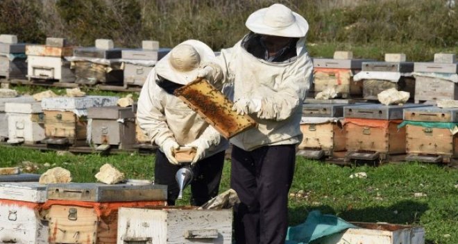 Aliağa Bal Üreticiler Birliği kuruldu