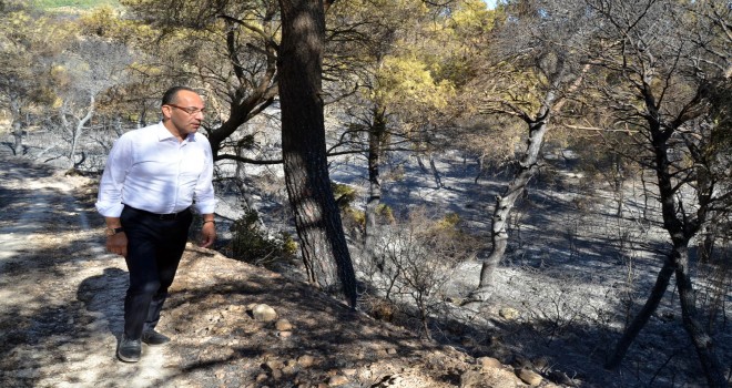 Başkan Oğuz: Yeniden ağaçlandıracağız
