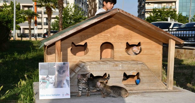 Çiğlili hayvanseverler 5. kez Pati Dostları Festivali'nde buluştu