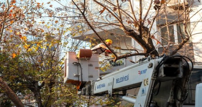 Karşıyaka Belediyesi budama çalışmalarını sürdürüyor