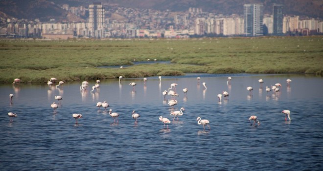 İzmir, Gediz Deltası projesiyle Ufuk Avrupa Programı’nı kazandı
