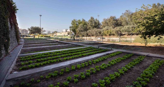 Karşıyaka’da bostanlar artıyor...