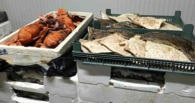 İzmir'de su ürünleri denetiminde ceza yağdı