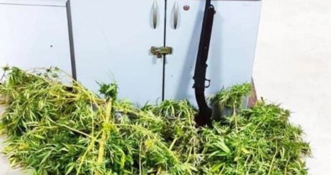 Karşıyaka'da evinde uyuşturucu yetiştiren baba oğul yakalandı