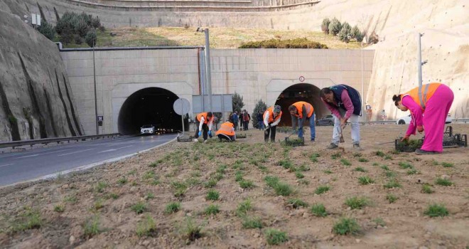 Kuraklığa karşı İzmir’in yeşil örtüsünde dönüşüm