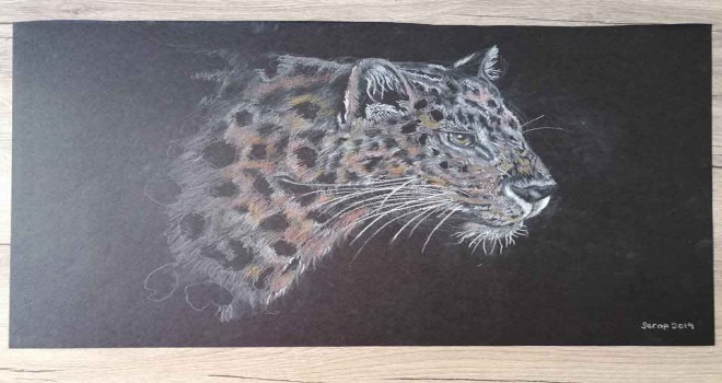 Resimlerin gelirleri lösemili çocuklara