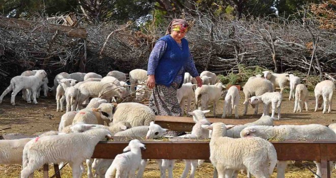 Mera İzmir'in 2023’te hedefi 50 milyon