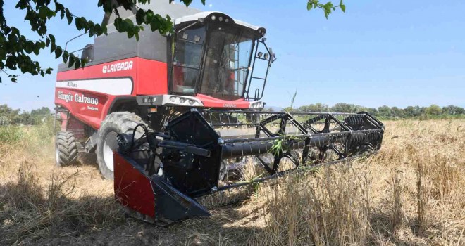 Çiğli Belediyesi'nden örnek tarım uygulaması