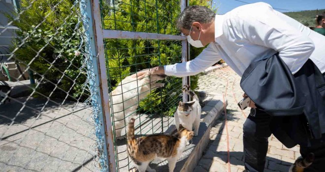 Başkan Tugay’dan Boğa Ferdinand’ın çiftliğine destek