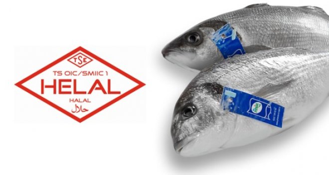 ''Balık''ta ilk Helal Sertifikası ''Pınar Balık''ın…