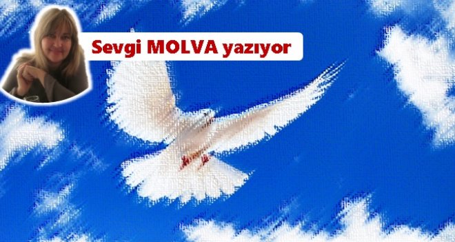 Barış Barış Barış