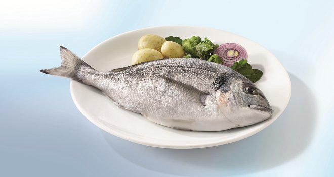 Başarının anahtarı balıkta