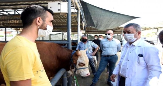 Karşıyaka'daki kurbanlık hayvan satış yerlerine kontrol