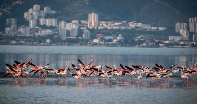 Türkiye’nin ilk Yeşil Şehir Eylem Planı İzmir için hazırlandı