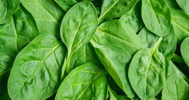 İzmir'de zam şampiyonu ıspanak