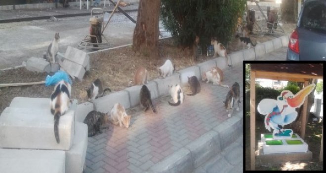 BELEDİYE YAPTI AMA, HAYVANSEVERLER KULLANMIYOR...