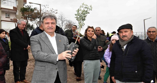 Bornova’da zeytincilik eğitimleri devam ediyor