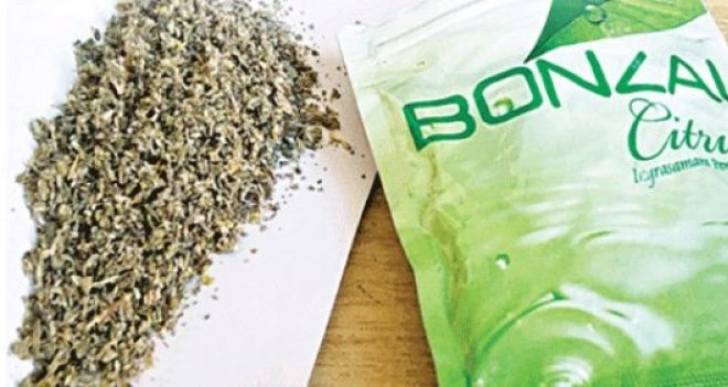 "Bonzai şarkısı zihinleri zehirliyor"