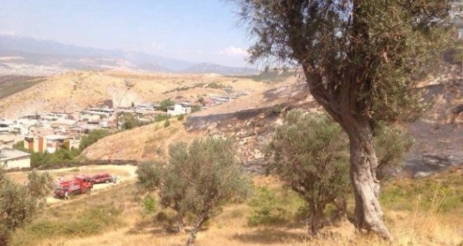 Bornova'da aynı yerde yine yangın