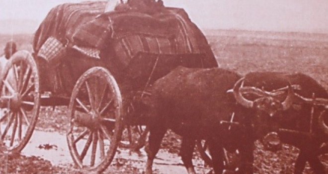 ''Boşnaklar'ın Göç Hikayesi'' kitabı İzmir'de