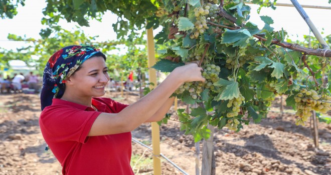 Buca’da 3.Bağ Bozumu coşkusu
