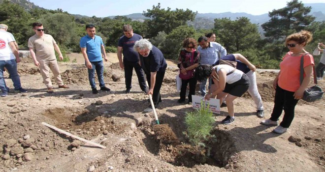 Karşıyaka'da Çevre Günü'nde fidanlar toprakla buluştu