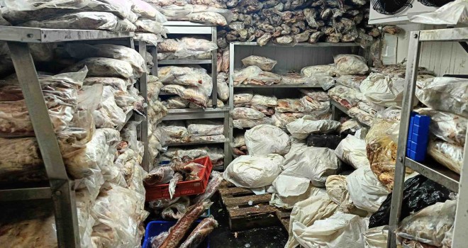 Tonlarca bozuk gıda ele geçirildi