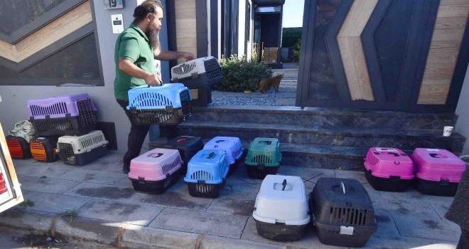 Bir yılda bin 600 hayvan mahallesinde kısırlaştırıldı