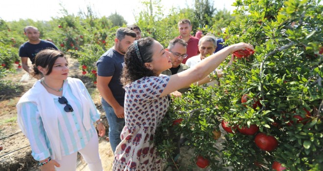 Efes Selçuk Nar Tanesi ile şenlendi