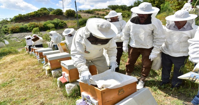 Bornova Belediyesi’nden yeni arıcılara tam destek
