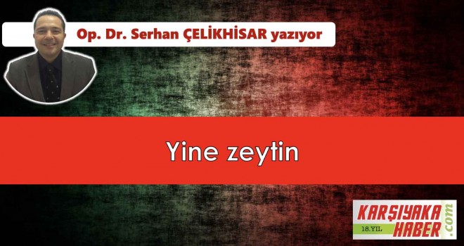 Yine zeytin