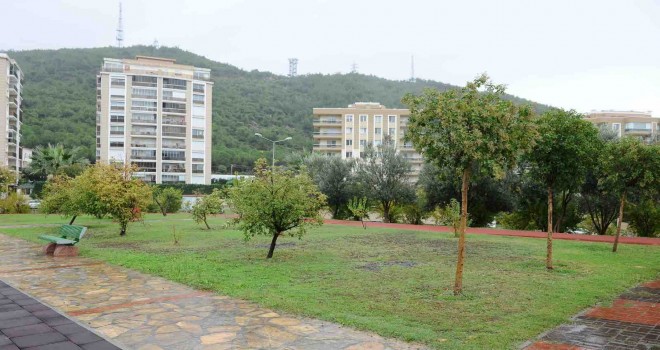 Karşıyaka meyve bahçeleriyle renkleniyor