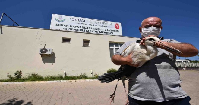 Torbalı Belediyesi leyleğin yardımına koştu