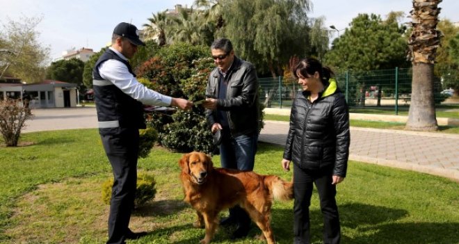 Can Dostlar, Veteriner Zabıtası’na emanet
