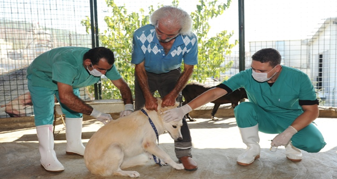 Can dostlarına sağlık taraması...