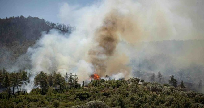 İzmir'de yangınlar hem ekolojiyi hem ekonomiyi yaktı