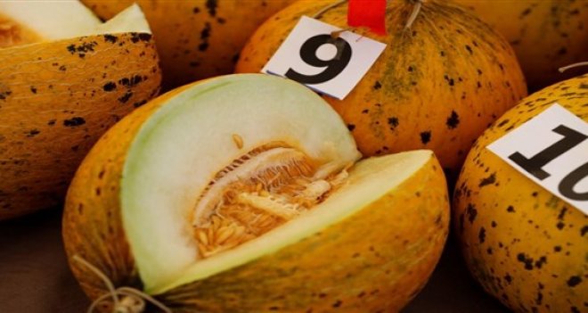 Çeşme'nin güzelleri yarıştı