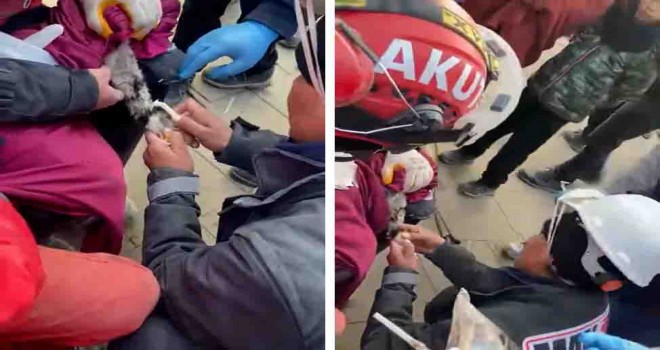 Enkazdan kurtarılan kediye MAKUR desteği