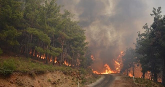 CHP'li Güven: Yüreğimiz, geleceğimiz yanıyor...