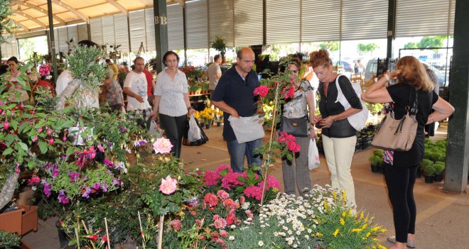 Çiçek Festivali’ne 50 bin ziyaretçi