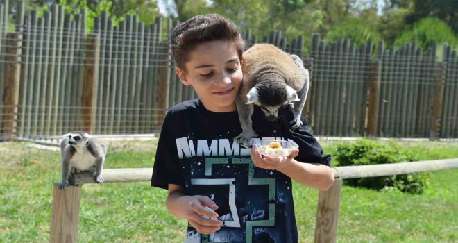 Doğal Yaşam Parkı'na tatilde ziyaretçi akını