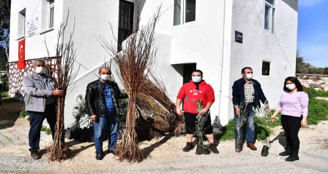 2021 yılının ilk fidanları üreticiyle buluştu