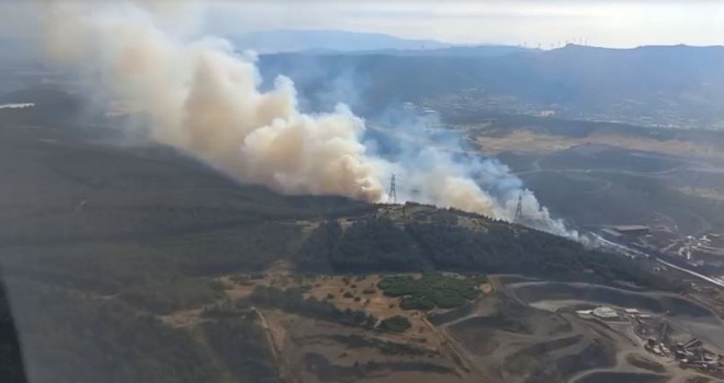 İzmir'de orman yangını