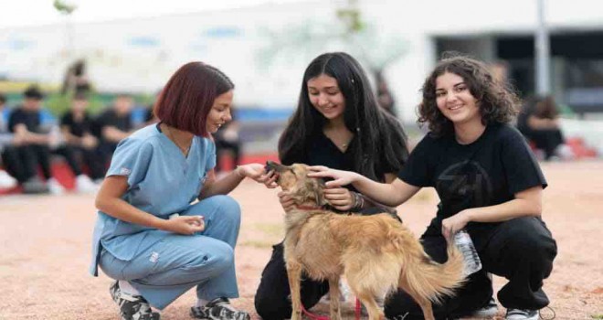 Öğrencilerden çağrı: Sahipsiz hayvanlara kötü muamele son bulsun