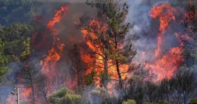 Bakan Yumaklı: İzmir'deki yangınlar kontrol altına alındı