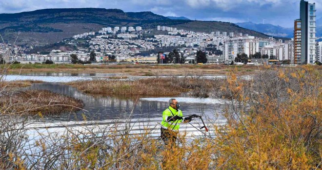 ​İzmir'de sivrisinek mücadelesi