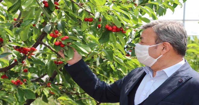 Özen: Organikte öncü şehiriz