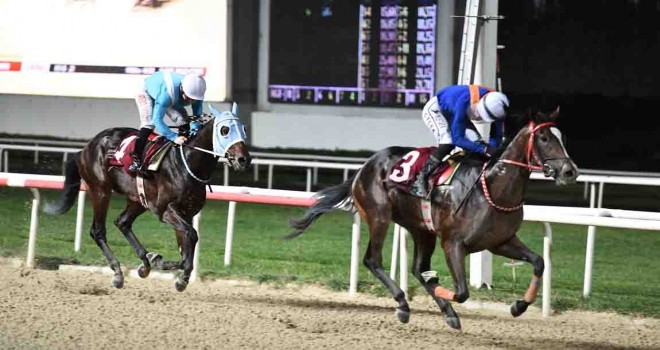 KİTVAK Koşusu'nu Dragon Fire kazandı