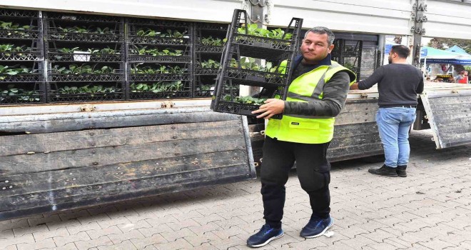 İzmir'de sebze ve meyve fidelerinin dağıtımı devam ediyor